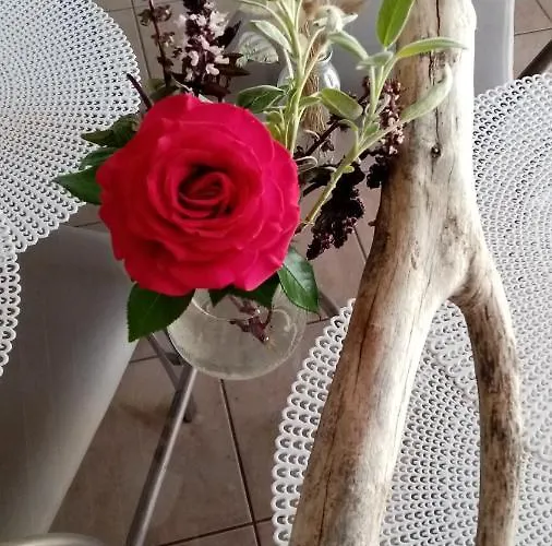 L'eden Naturiste Ecureuil Проживание в семье