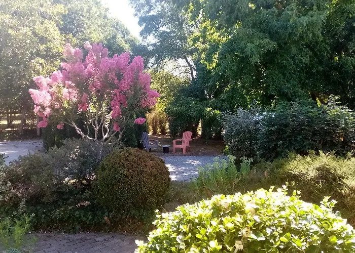 L'eden Naturiste Ecureuil